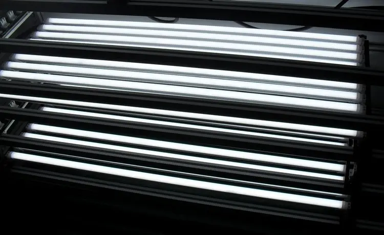 478510409_399.jpg
