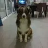 J***s