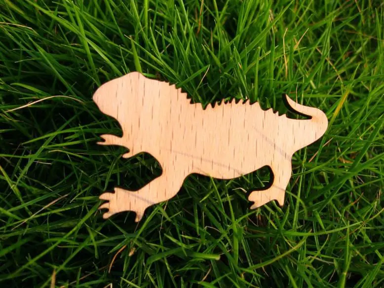 Tuatara брошь дерево мода ювелирные изделия