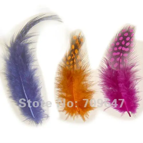 FMG0001 (3)