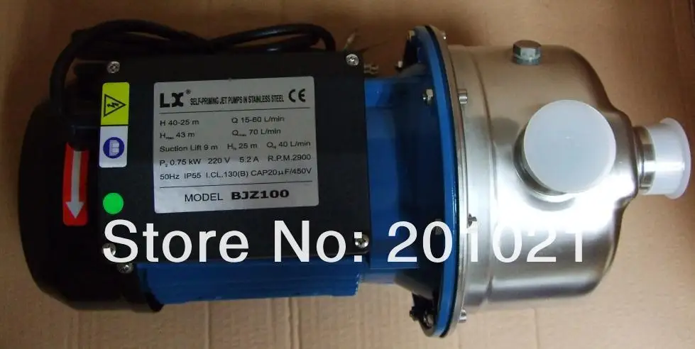 PUMP BJZ100 1206 02 SIDE VIEW.JPG