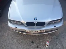 G***y