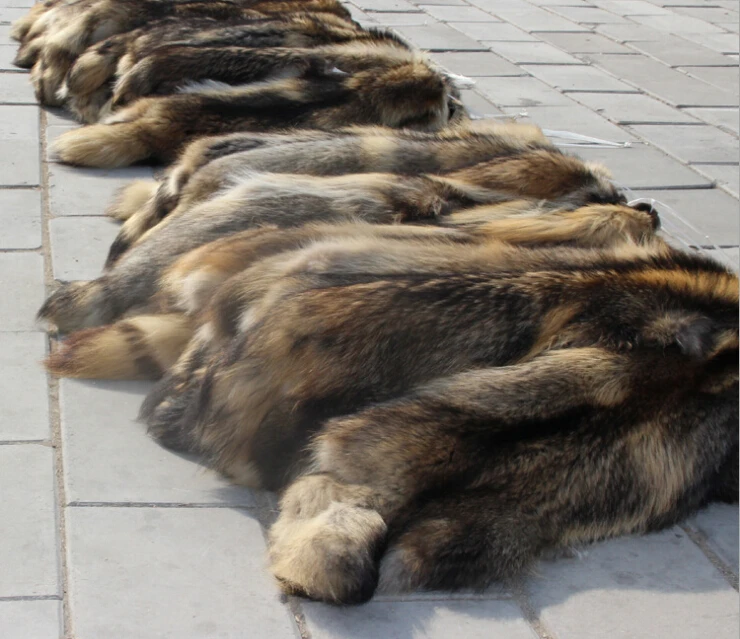 Fabrika Fiyat Gercek Dogal Rakun Kurk Derileri Fur Skin Raccoon Skinskin Fur Aliexpress