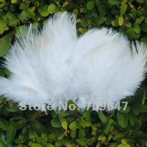 600pcs/Lot 2-4inch 6-9cm Multi-Colors Natural Rooster feathers 12colours available  free shipping