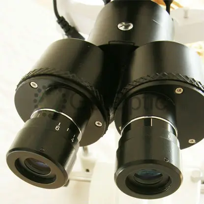 x4