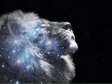 G***.