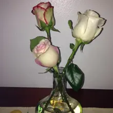 w***s