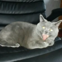 m***r