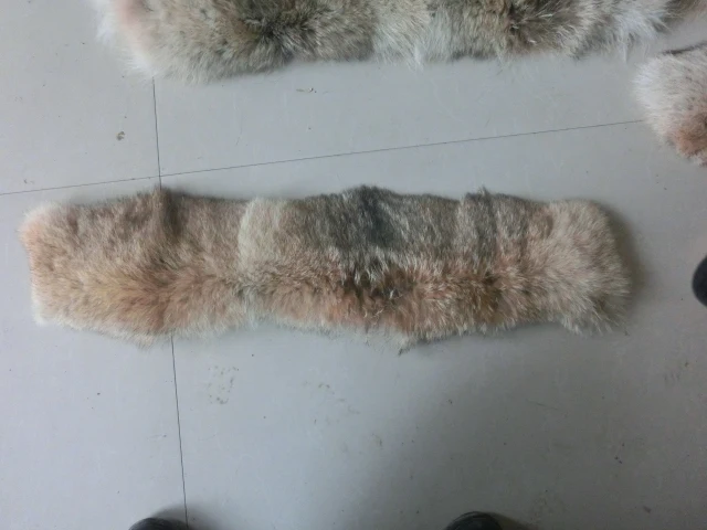 Заводская цена новый продукт Койот меховая кожа для воротника|fur skin|coyote skinskin fur |