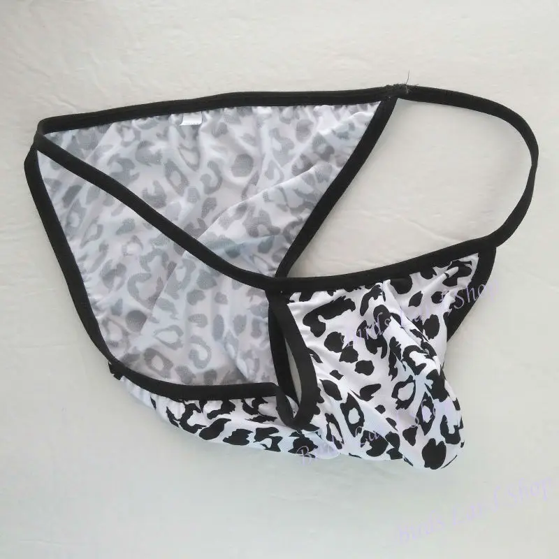 G4484-leopard_new(2)