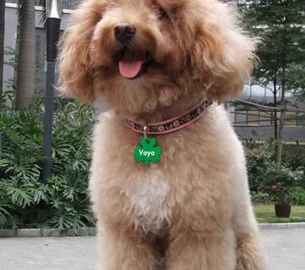 Lucky pet tags Clearance