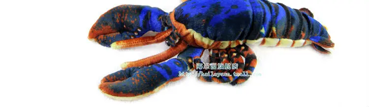 lobster 06
