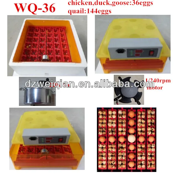 wq-36