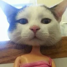 M***a