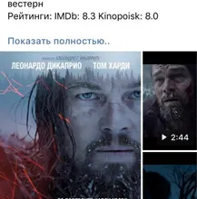 V***n
