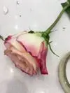 F***y