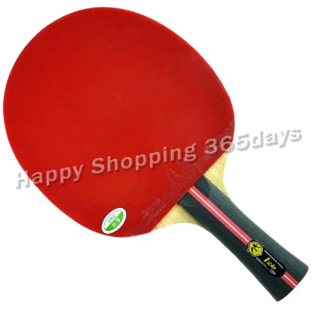RITC 729 1-star(1 star, 1 star) pips-in ракетка для настольного тенниса/pingpong+ чехол для летучей мыши Shakehandlong handle FL