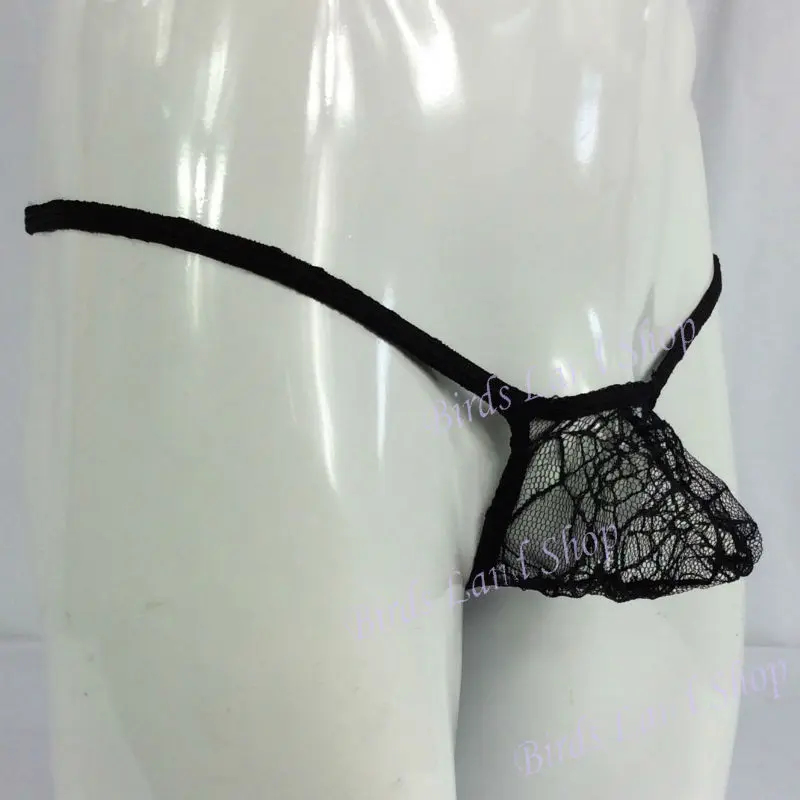 G4039-spider-1_new(2)