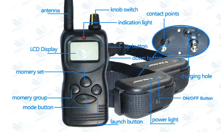 wt759b-dog-training-collar