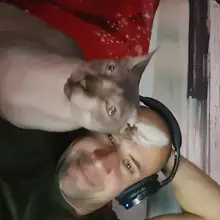 D***s