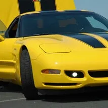 B***v