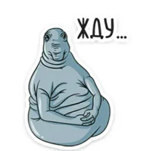 E***v