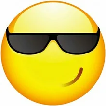 v***v