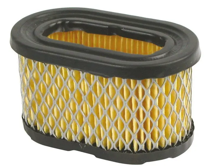 Air Filter Briggs & Stratton 494586, 497725 3.jpg