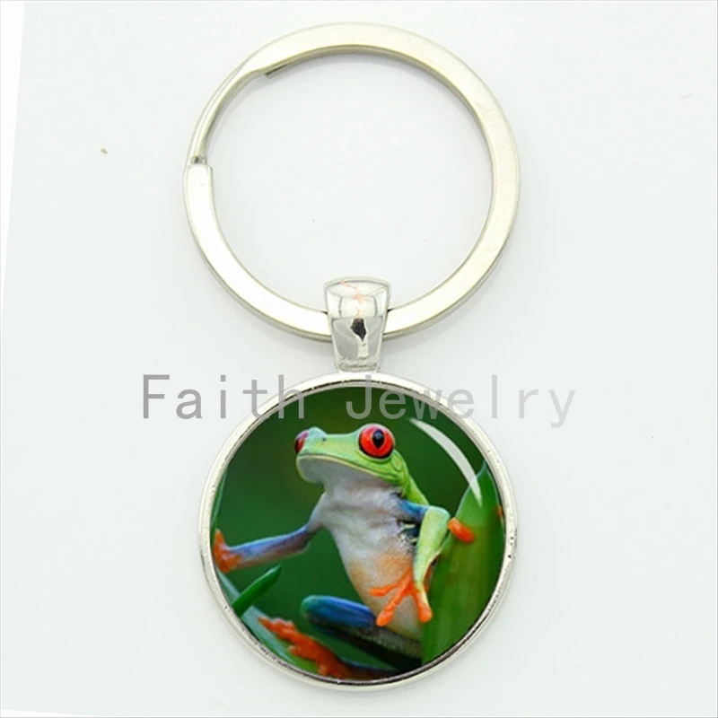 Lively colorful tree frog key chain charming nature green wild life