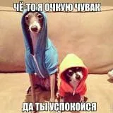V***E