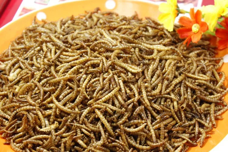 Сушеный mealworm сухой хомяк арована рыбный корм черепаха еда ящерицы корм для домашних животных, 100 г