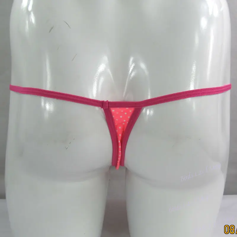 G798C-polka-b_new(2)