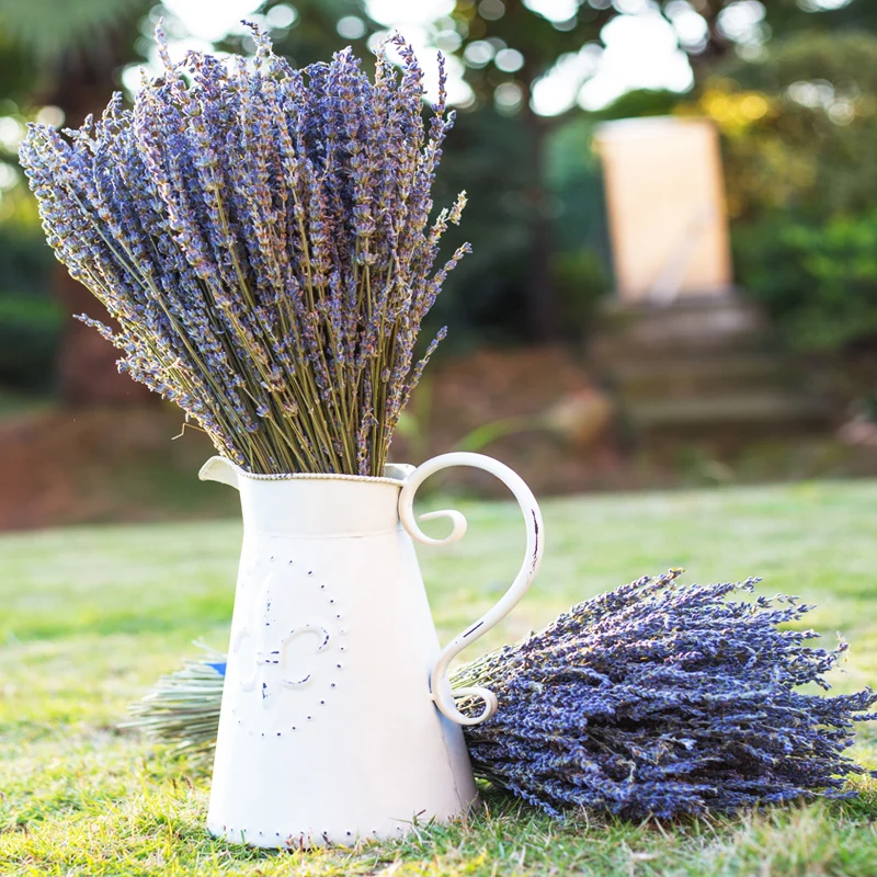 Por Bulk Pressed Flowers Lots New Whole Natural Dried Flower Uk Lavender Flowers For Home Decoration Artificiales Real