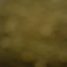 m***m