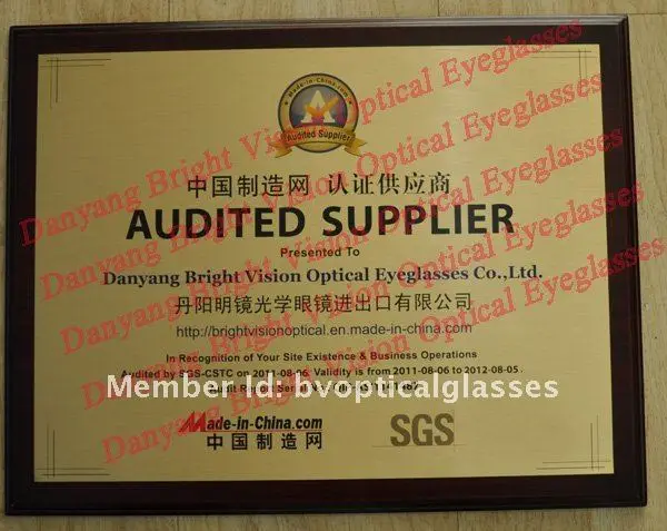 SGS Audit.jpg