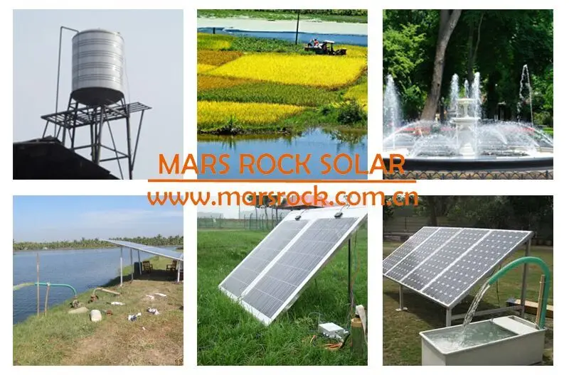 1100 W AC220V DC300V 3 inch Солнечный водяной насос с постоянным магнитом синхронный двигатель максимальный поток 2/ч глава 65 м для орошения и дома