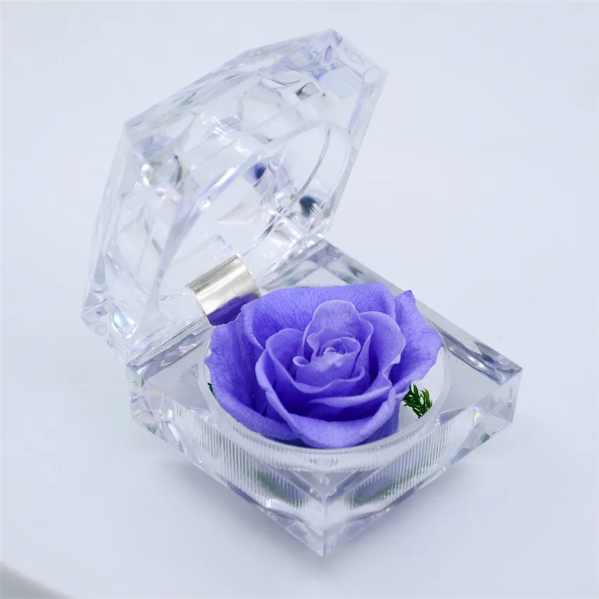 ms-violet