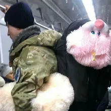 V***k
