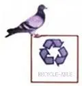 ws_transfer_pic_6529320.jpg