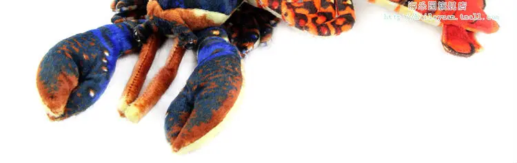 lobster 02