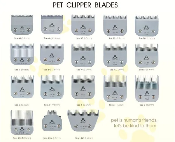 CLIPPER BLADES