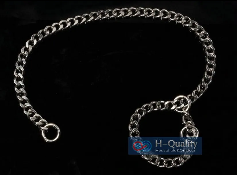 dog chain1