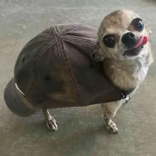 S***k