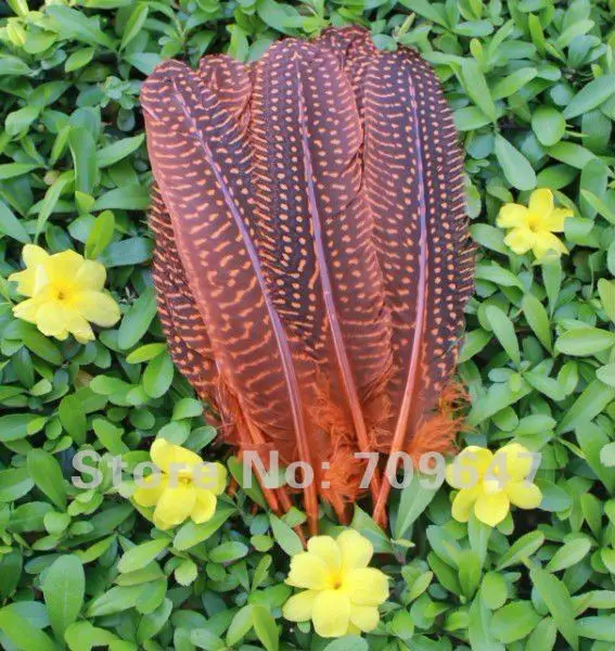 New!100pcs/Lot 13-16cm Guinea Fowl Wing Feather 6Colour Available  free shipping 
