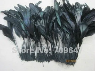 200pcs/Lot 15-20cm Black Masquerade Chicken Feather Cocktail Hat Feathers Free shipping