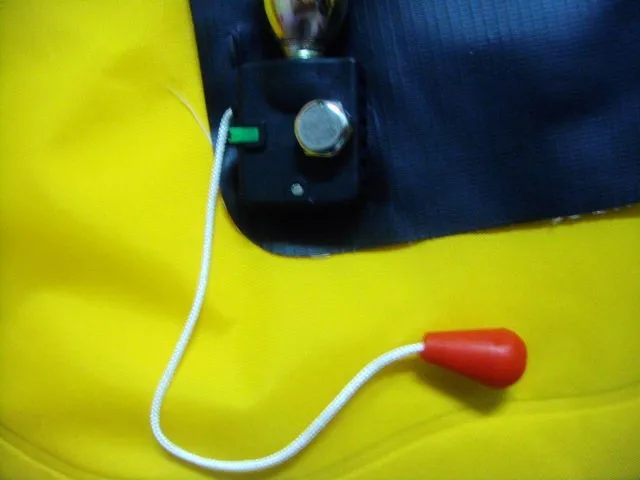 DSC06011