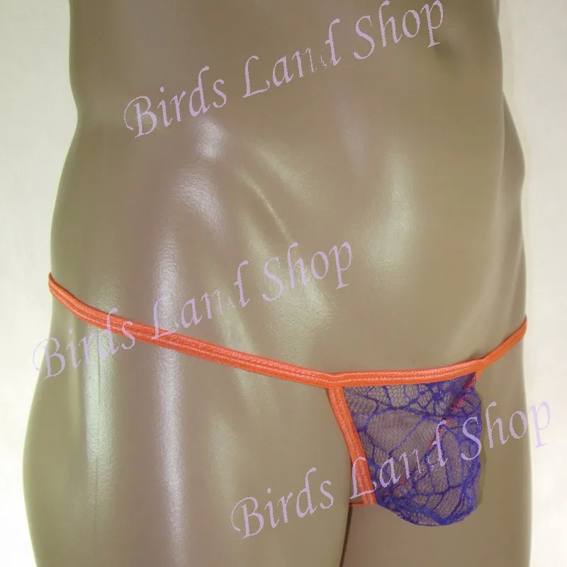 G3679-M-purple-2-_new(2)