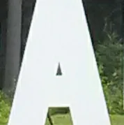 A***a