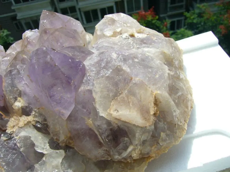 P1260895
