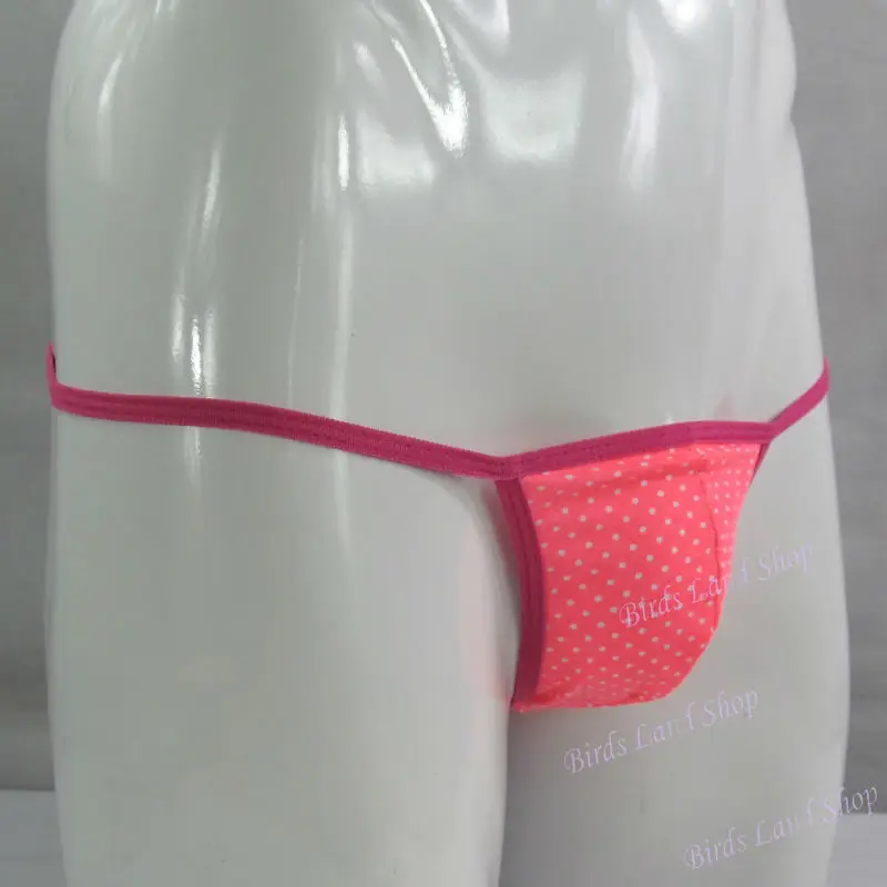 G798C-polka-1_new(2)